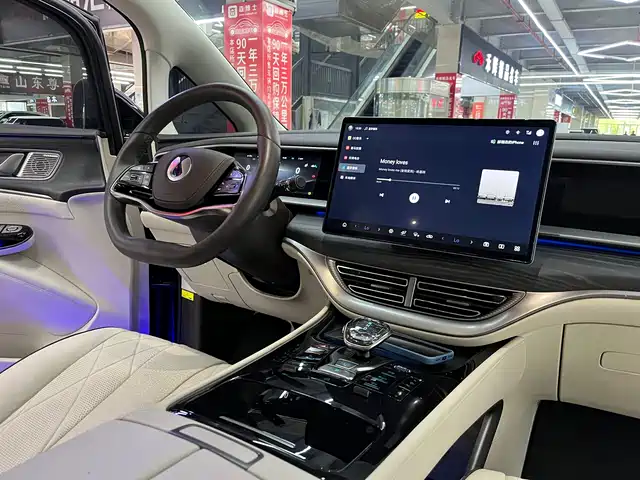 Denza D9 2024 DM-i 980 AWD Prestige — фото 5