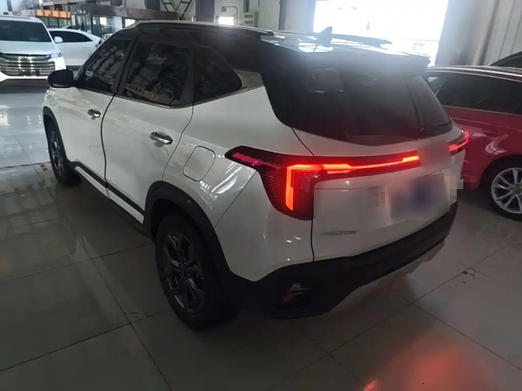 Kia Seltos 2024 2023 1.5L CVT Luxury Edition