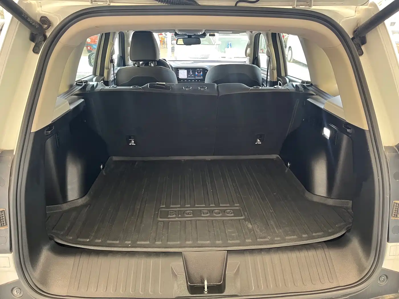 HAVAL BIG DOG