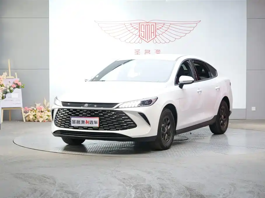 BYD Qin PLUS 2025 DM-i Smart Drive 55KM Leader