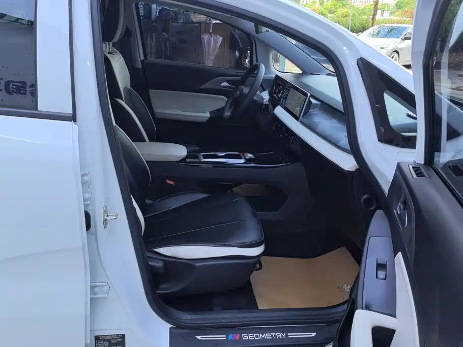 Geely Geometry E Firefly 2024 2024 Model 301km Starlight