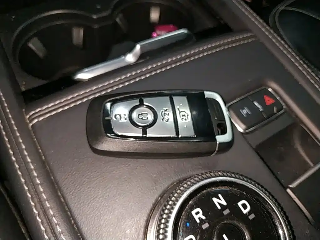 Ford Mustang Mach-E 2022 2021 Leap World RWD (Standard Range)