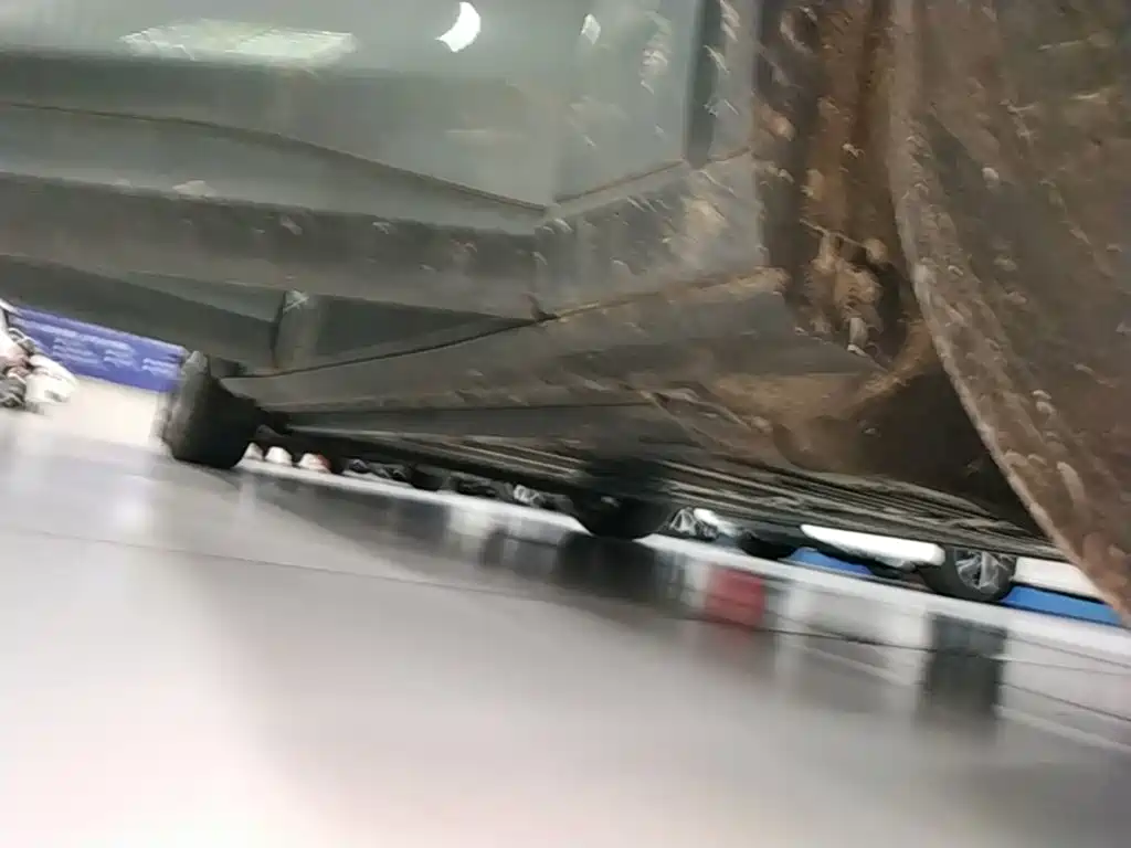 Ford Mustang Mach-E 2022 2021 Leap World RWD (Standard Range)