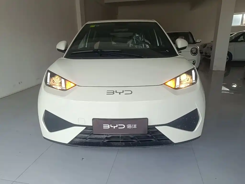 BYD Seagull 2026 2025 305km Vitality