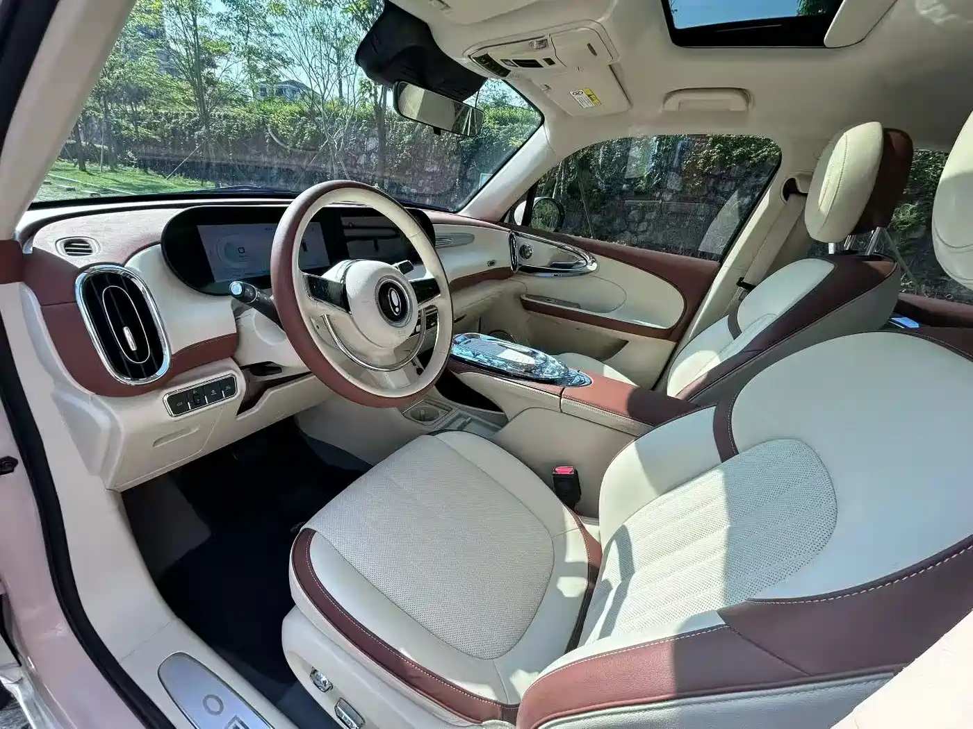 Ora Ballet Cat 2023 2023 401km Premium Model