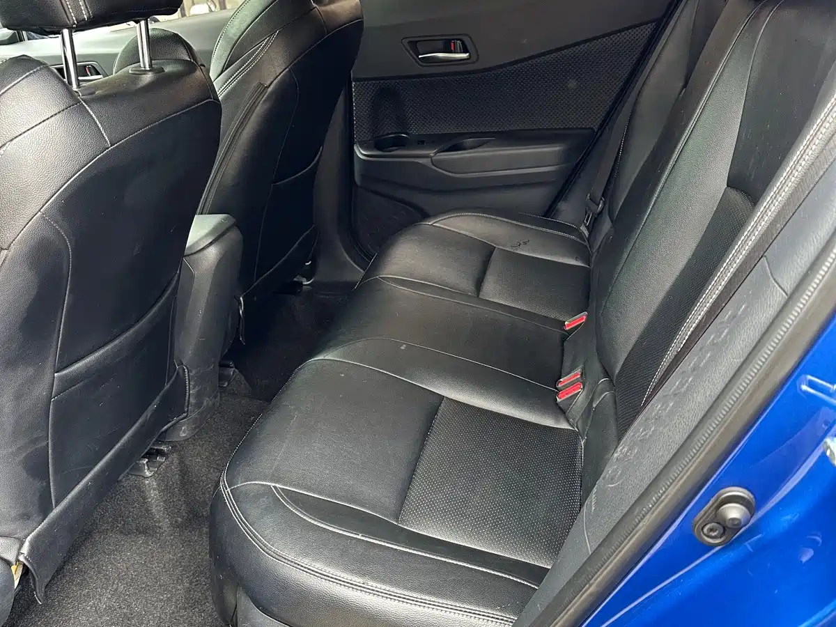 Toyota IZOA 2021 2021 2.0L Yixing Edition