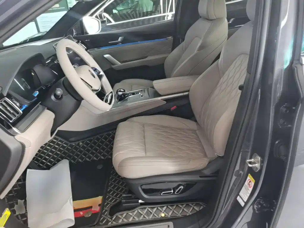 BYD Tang New Energy 2024 2024 DM-i Honor Edition 112KM Premium