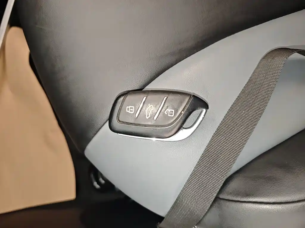 Roewe Kaiwei CLEVER 2023 2022 311km Vitality Bobo Edition