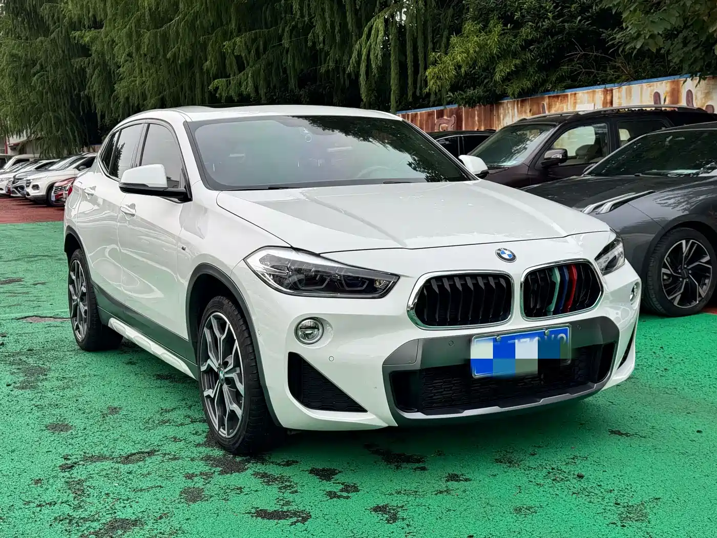 BMW X2 (Import) 2019 2019 sDrive25i Premium M Off-Road Package China VI