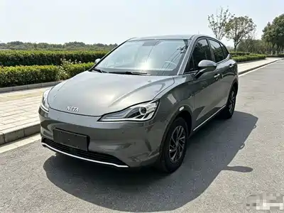 Neta V