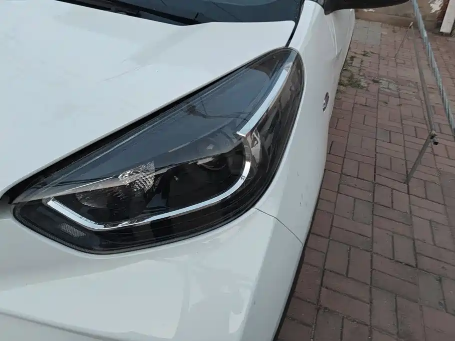 QQ New Energy Little Ant 2023 2023 301km True Love Plus Edition LFP