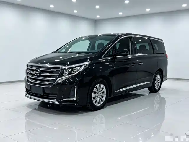 GAC Trumpchi Trumpchi M8 2020
