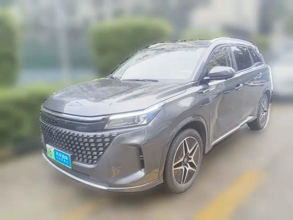 Landian E5 2024 2024 Glory Edition 100KM Ultimate Type 7-Seater
