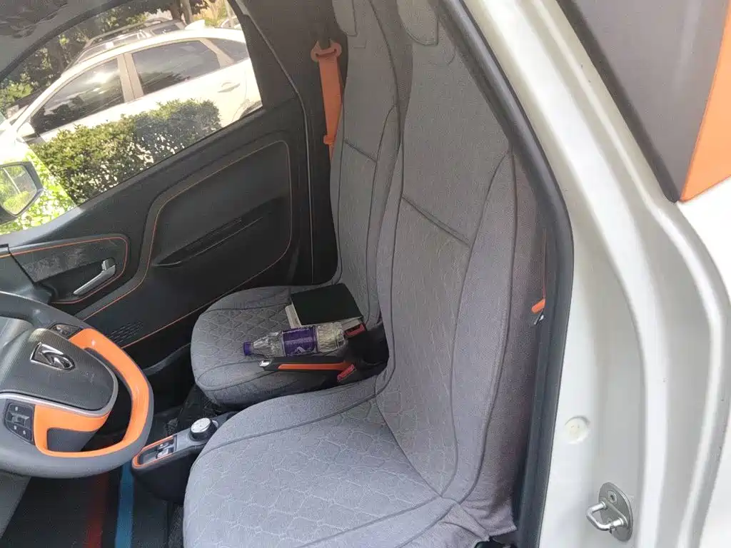 Baojun E100 2019 2019 250KM Smart Edition