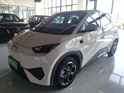 BYD Seagull