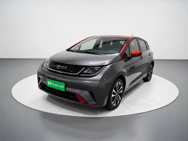 BYD Dolphin 405km, Свобода