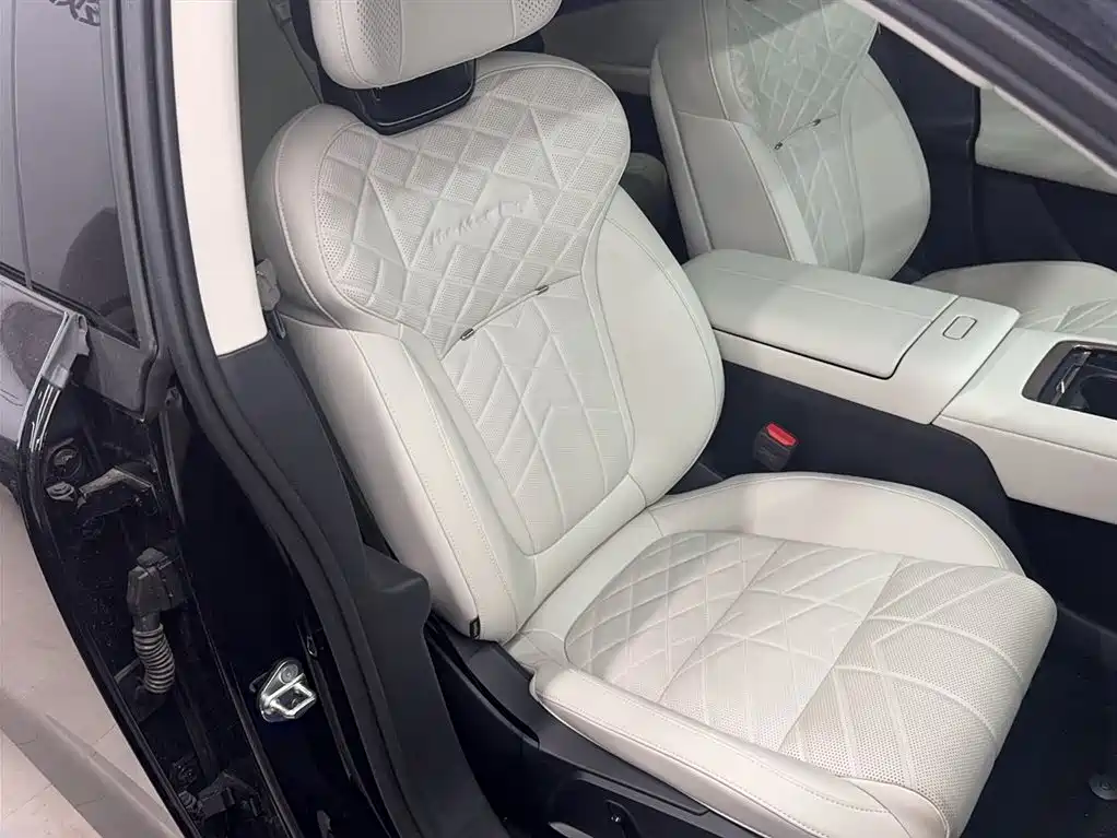 Lynk & Co 10 EM-P 2025 Model 120km Base Version фото 4