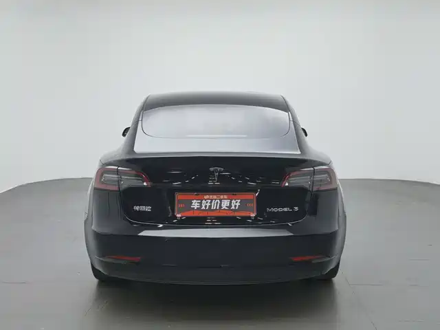 Tesla Model 3 2022 Model Rear-Wheel Drive Version — фото 4