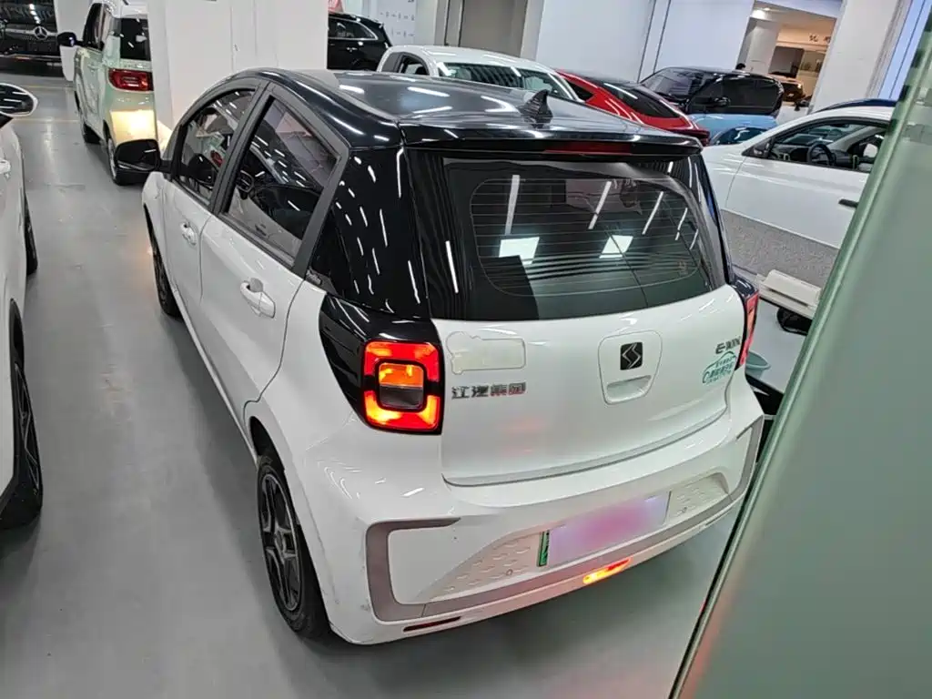 Sehol Flower Fairy 2022 2021 302km Fashion Edition 31.4kWh