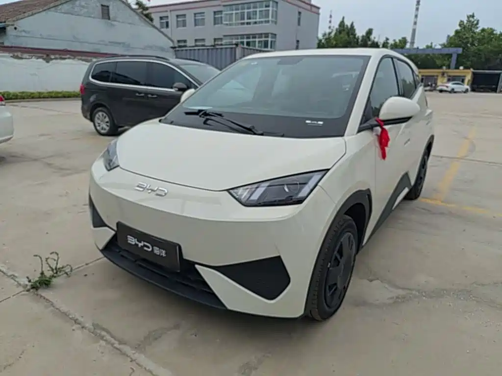 BYD Seagull 2026 2025 Smart Drive Edition 305km Vitality Version
