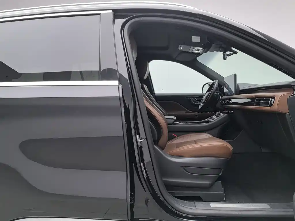 Photo 23 - Lincoln Aviator