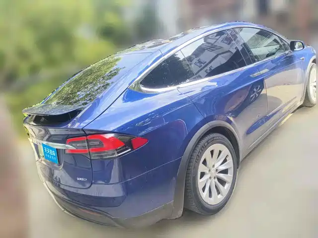 Tesla Model X 2017 Model X 100D Long Range — фото 2