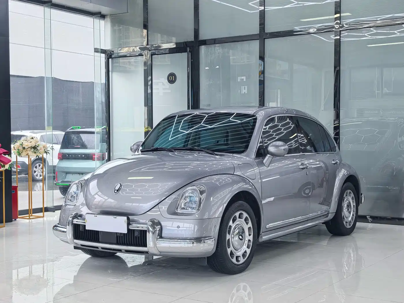 Ora Ballet Cat 2024 2023 401km Premium Model