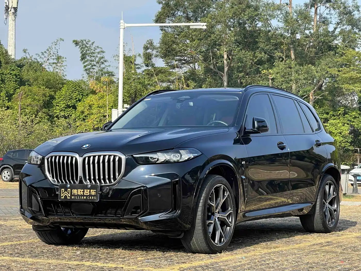 BMW X5 2023 xDrive 30Li Premium M Sport Black Night Package
