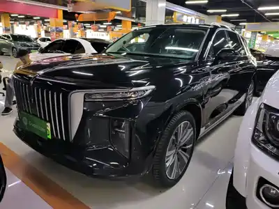Hongqi E-HS9