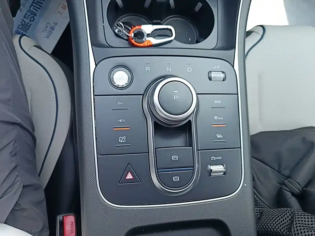 BYD Destroyer 05 2025 2024 Glory Edition DM-i 55KM Luxury