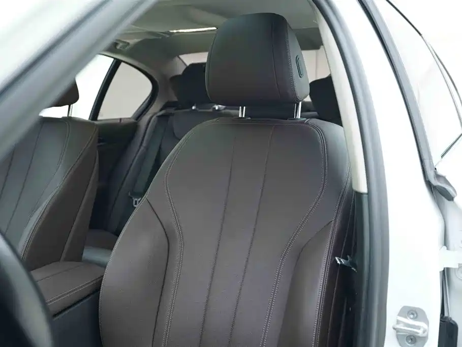BMW 5 Series 2020 525Li Luxury Package фото 13