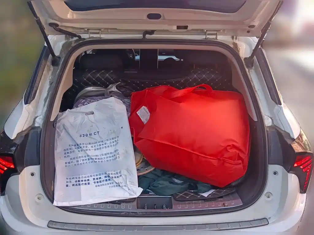 Nezha Auto Nezha V 2021 2021 Standard Range Entertainment Upgrade