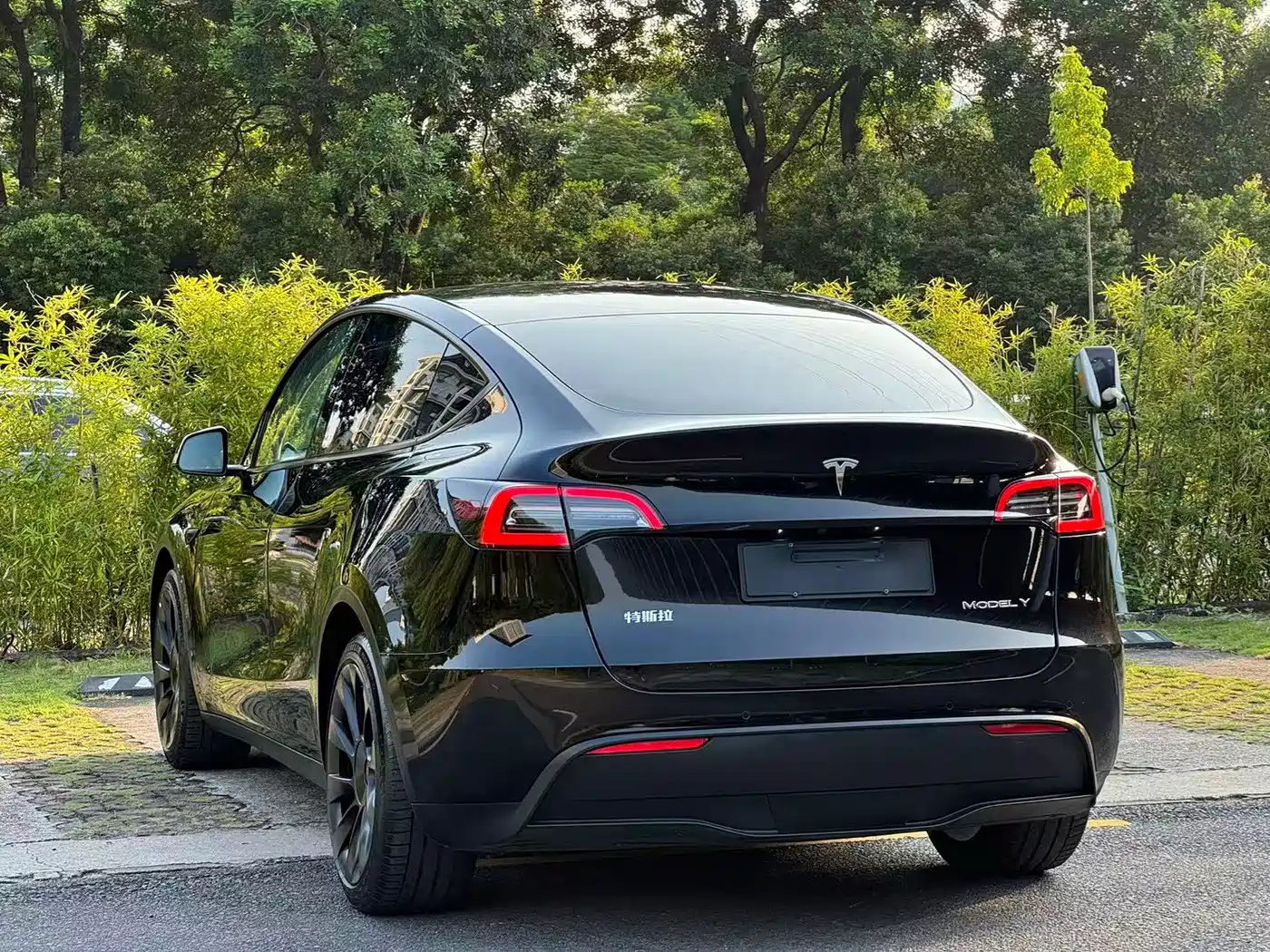 Tesla Model Y 2021 2021 Standard Range Rear-Wheel Drive