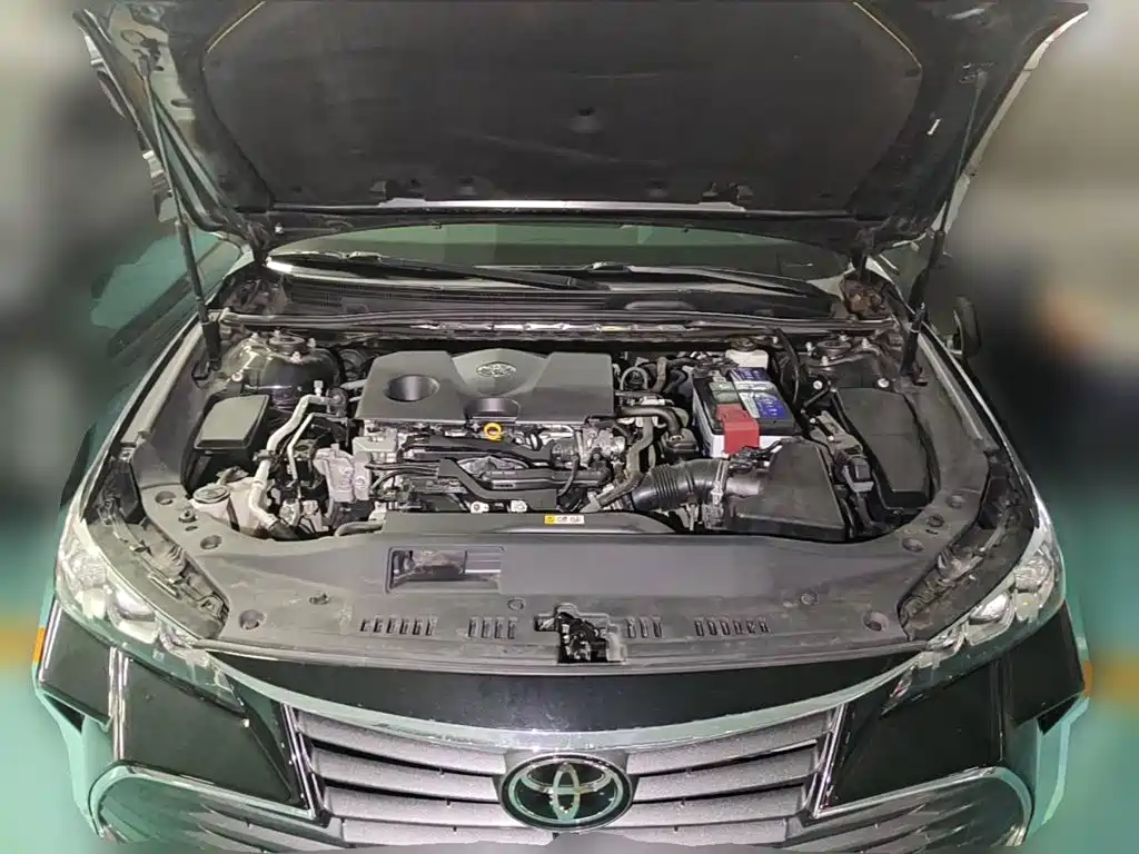 Toyota Avalon 2020 2019 2.0L XLE Premium Edition (China VI)