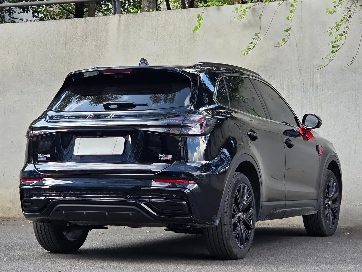 Hongqi HS5 2026 2026 2.0T 4WD Mystic Shadow Edition
