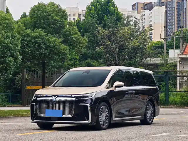 Voyah Auto Voyah Dreamer 2024