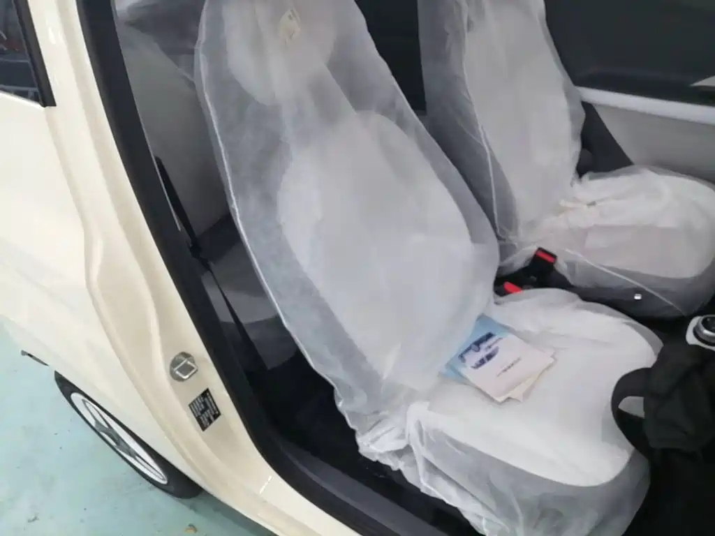 Geely Galaxy Panda 2026 2025 Panda mini 210km Vitality Bear
