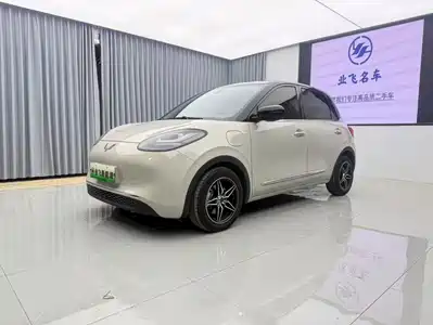 Wuling Bingo