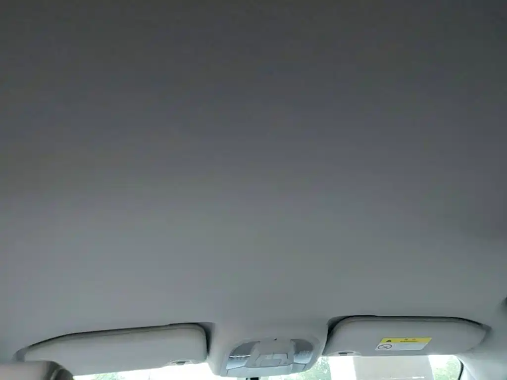 BYD Yuan Pro 2022 2021 401KM Luxury Model
