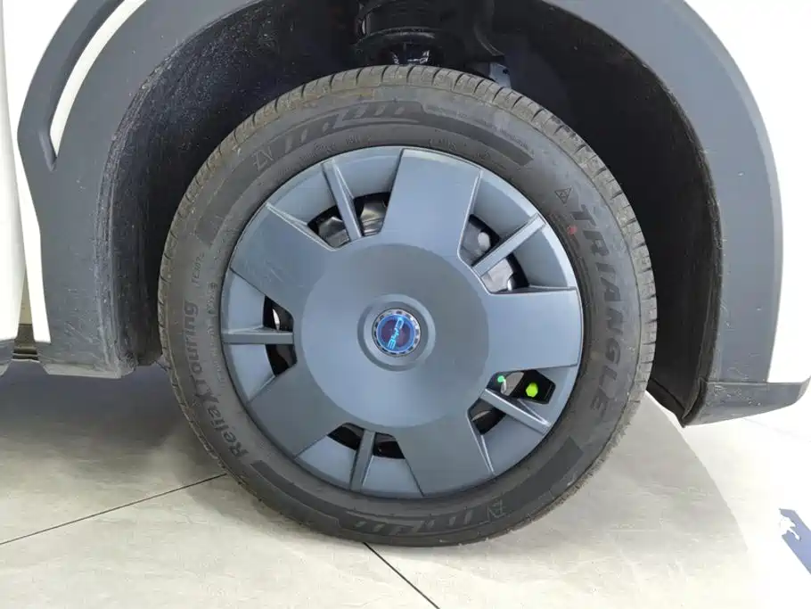 BYD Seagull 2026 2025 Smart Drive Edition 305km Vitality Version