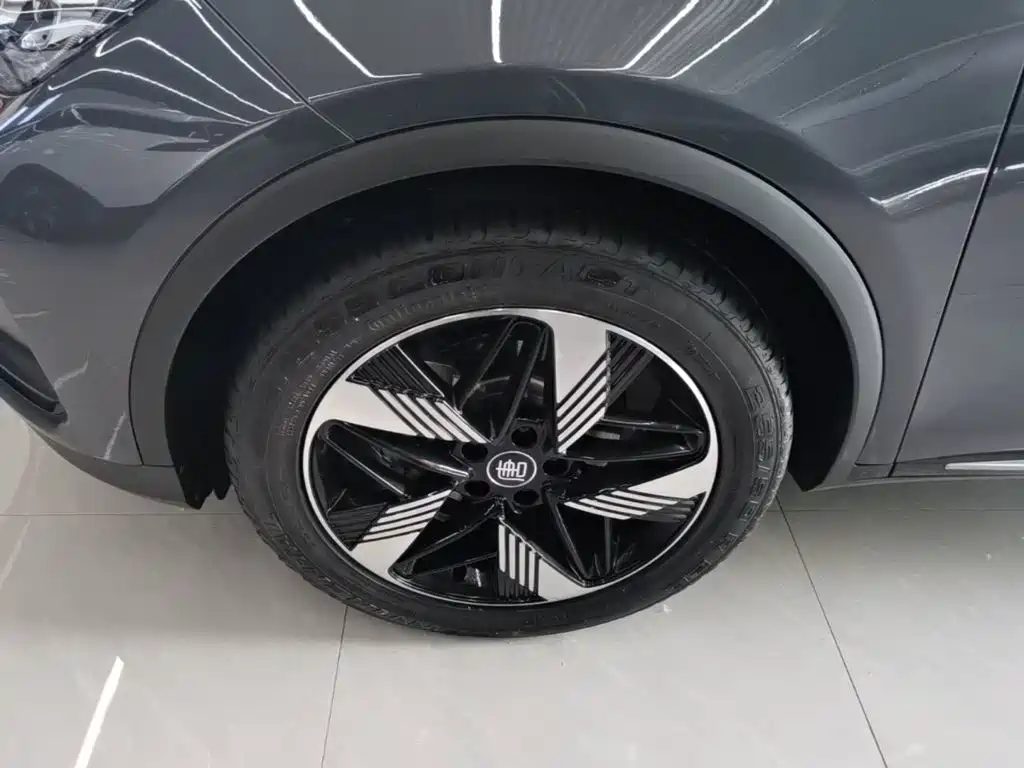 BYD Tang New Energy 2024 2024 DM-i Honor Edition 112KM Premium