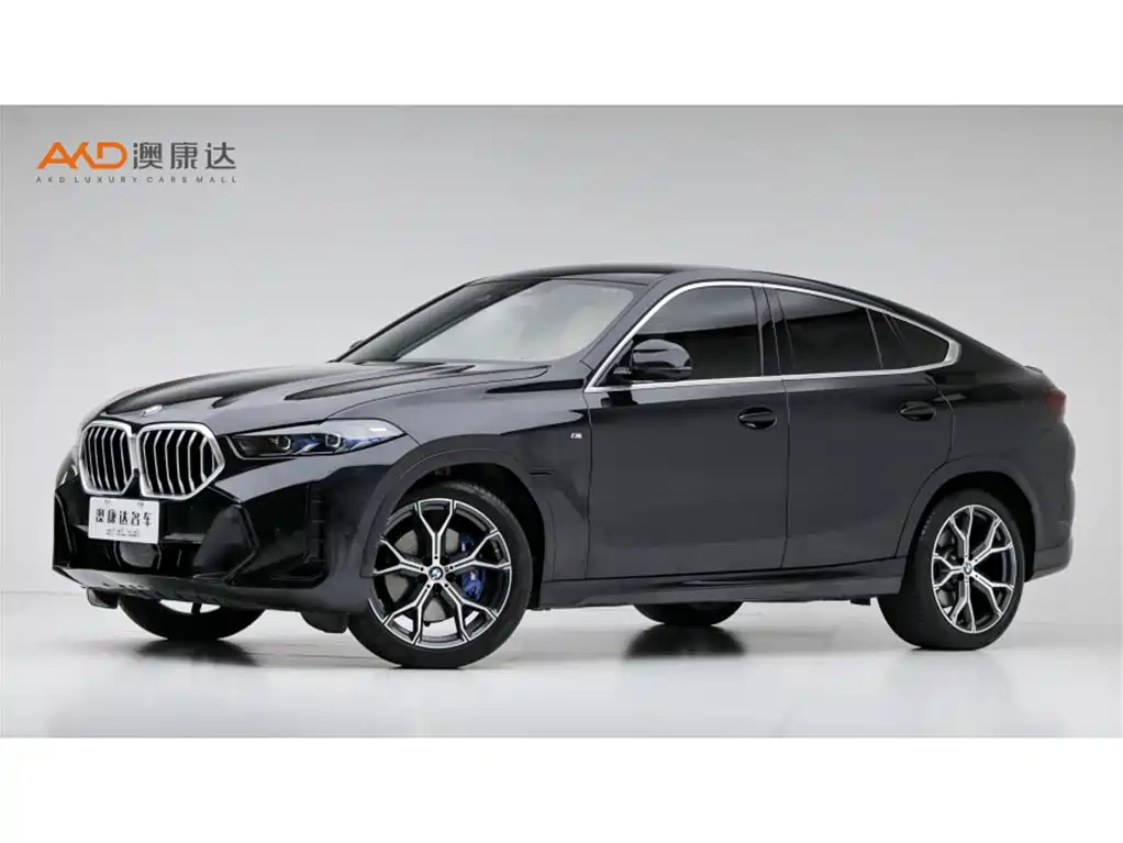 BMW X6 2023 2023 xDrive40i Premium M Sport Package