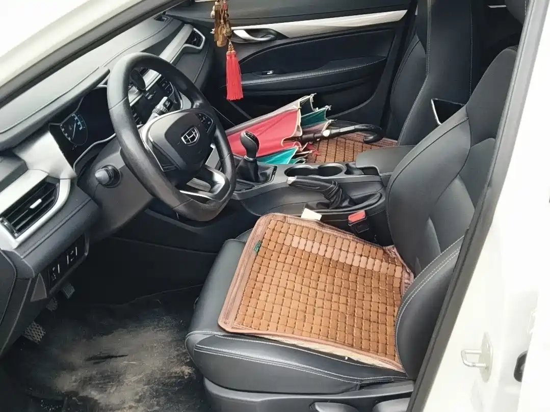 Фото 9 - Geely Emgrand