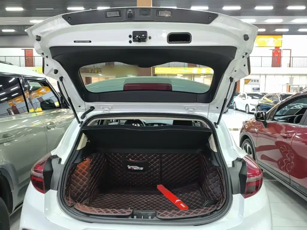 صورة 19 - Geely Emgrand GS