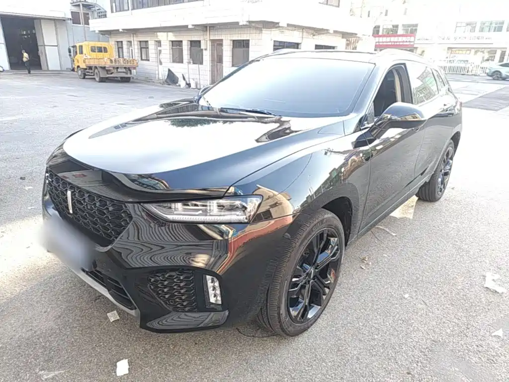 WEY VV7 2019 2017 2.0T Flagship