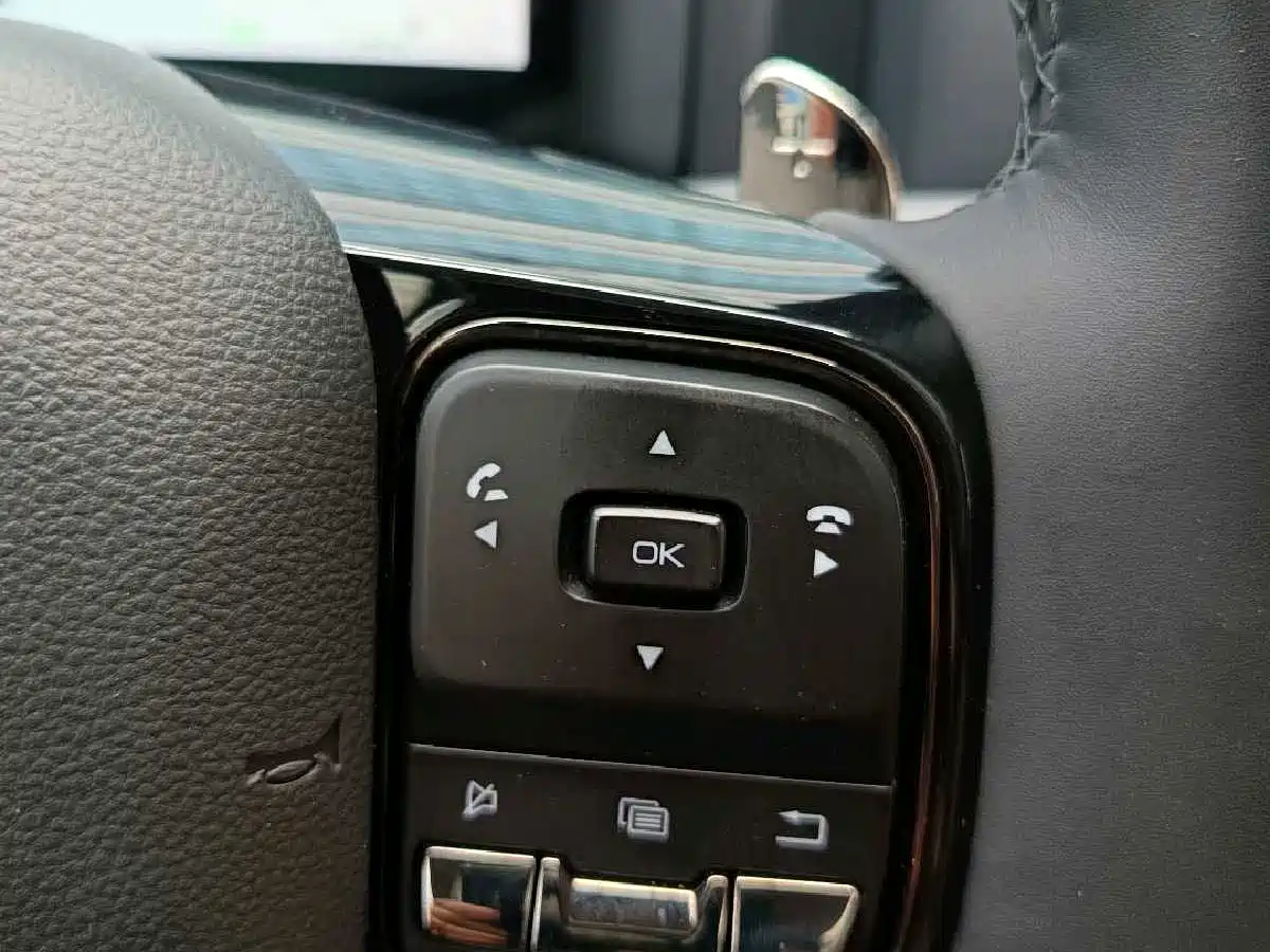 Haval H9 2024 2.0T Gasoline AWD Extreme Edition фото 26