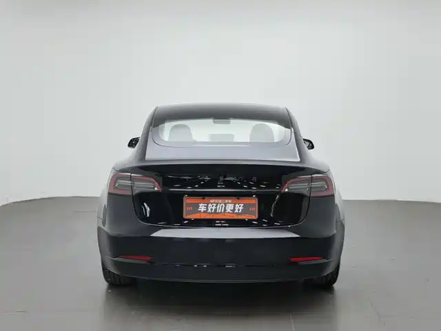 Tesla Model 3 2022 Model Rear-Wheel Drive Version — фото 4