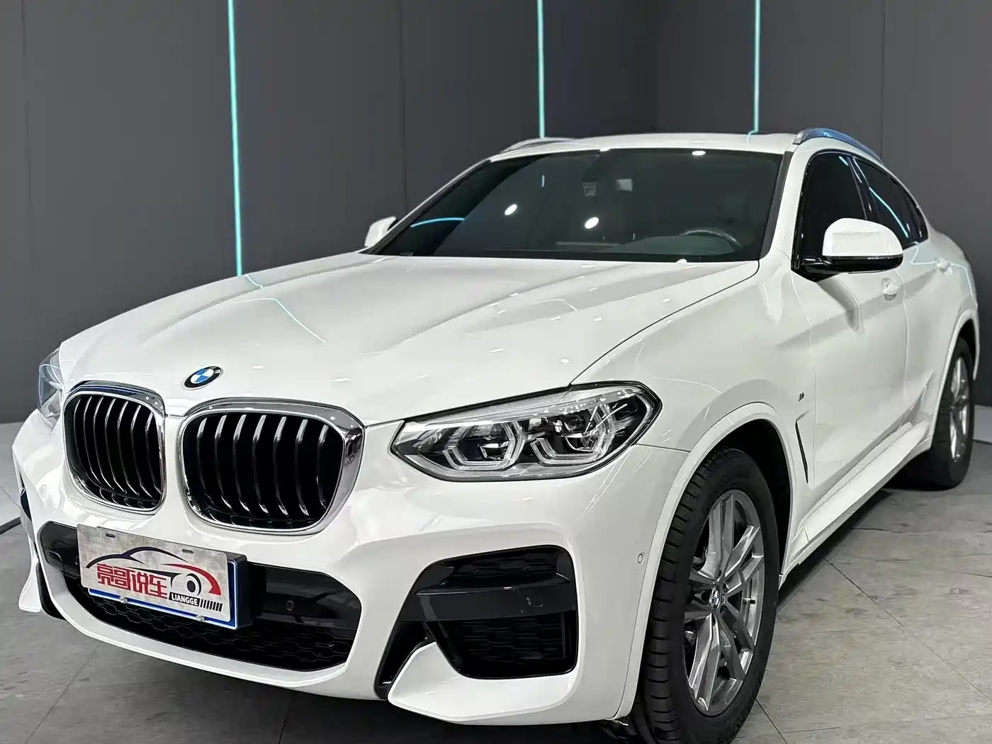 BMW X4 2019 xDrive25i M Sport Package