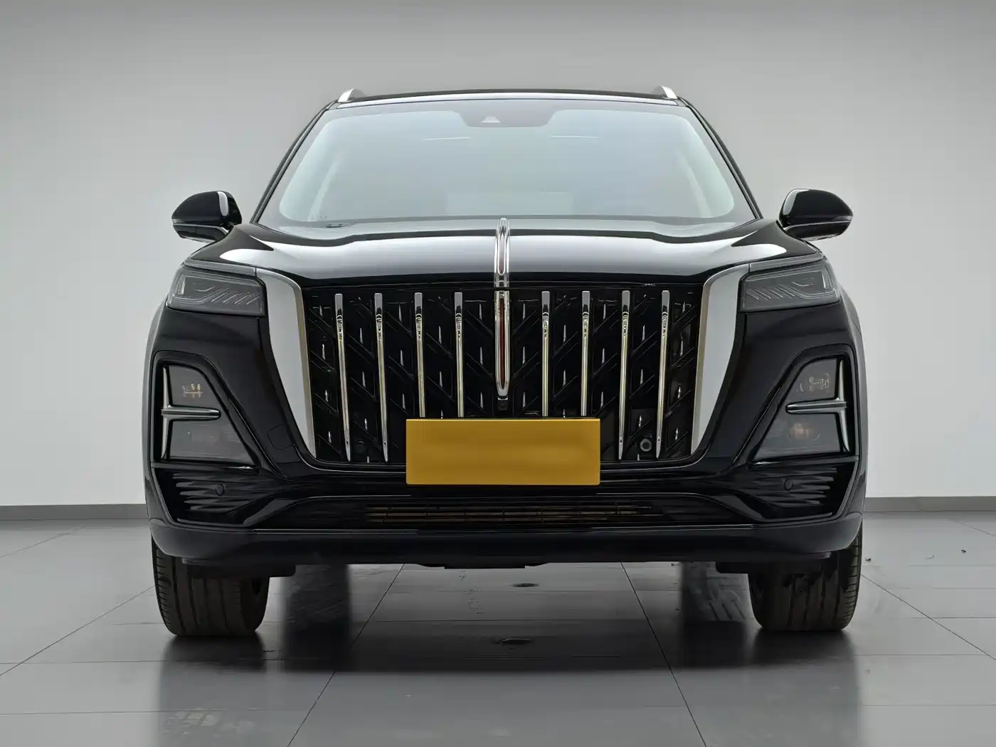 Фото 2 - Hongqi HS5