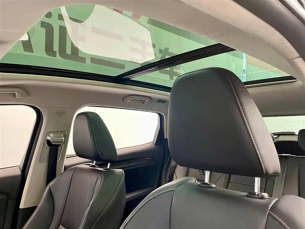 WEI PAI WEI BRAND VV6